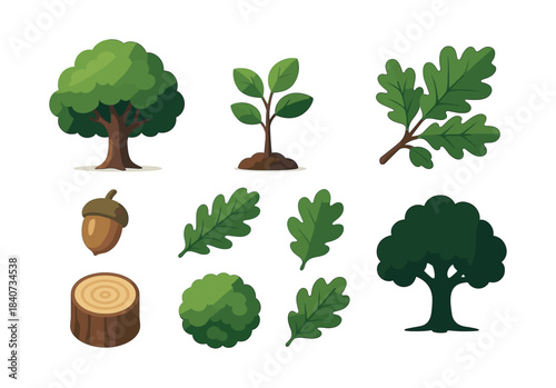 Nature elements, trees, leaves, acorn and stump, flat vector illustration