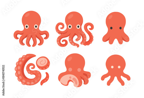 Squid vector illustration set, marine life, ocean animals, flat vector style