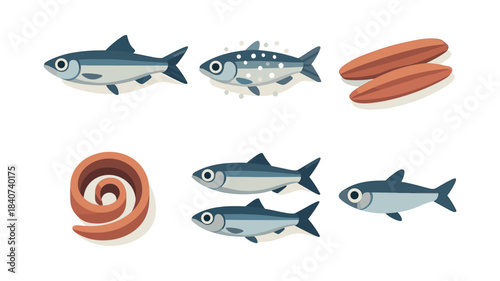 Fish variety flat vector illustration, sea life, seafood elements