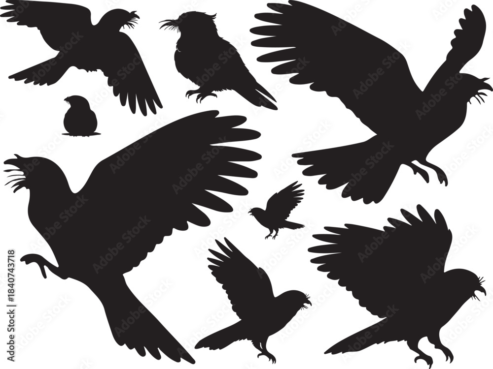 Obraz premium nightjar, nocturnal bird, camouflaged, wildlife, nature, vector, silhouette