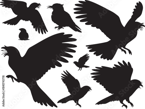 nightjar, nocturnal bird, camouflaged, wildlife, nature, vector, silhouette