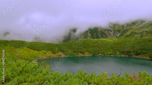 車の窓から見える綺麗な景色