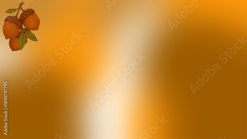 acorn with brown color and brown, white, and black color gradation with blur effect as background and wallpaper