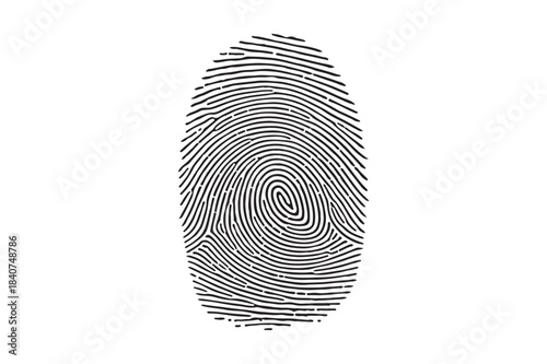 Detailed black and white fingerprint pattern on white background