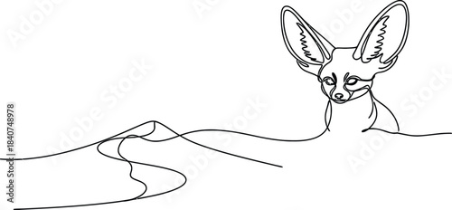 Elegant Fennec Fox Line Art Illustration Capturing Desert Animal Wildlife