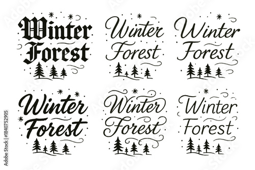 Winter Forest Calligraphy. Winter Forest. Create a calligraphy lettering illustration of the phrase: Winter