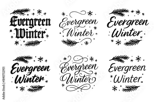 Evergreen Winter Calligraphy. Evergreen Winter. Create a calligraphy lettering illustration of the phrase: