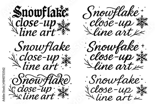 Snowflake Calligraphy Art. Snowflake close-up line art. Create a calligraphy lettering illustration of the