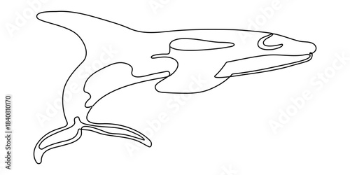 Continuous one line drawing of orca whale. One line of wild whale killer. Under ocean concept continuous line art. Editable outline, World Maritime Day. whale, continuous single line art hand drawing