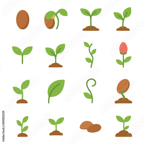 The Cycle of Life: A vibrant illustration showcasing the growth of a plant from a tiny seed, blooming into a beautiful flower.