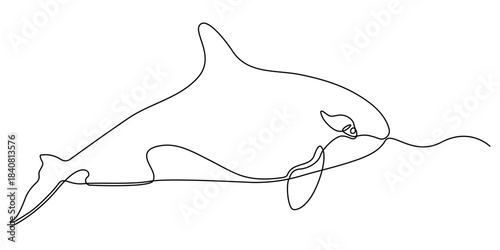 Continuous one line drawing of orca whale. One line of wild whale killer. Under ocean concept continuous line art. Editable outline, World Maritime Day. whale, continuous single line art hand drawing