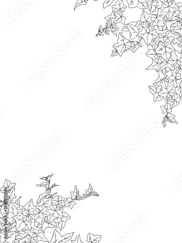 アイビーの線画フレーム②縦_ななめ_黒