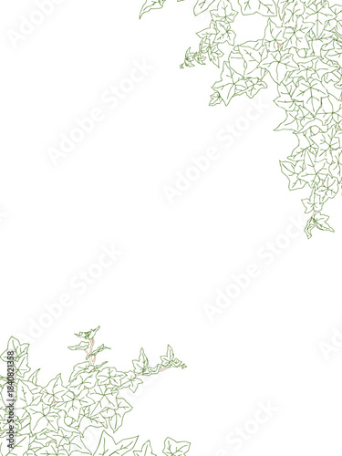 アイビーの線画フレーム②縦_ななめ_カラー