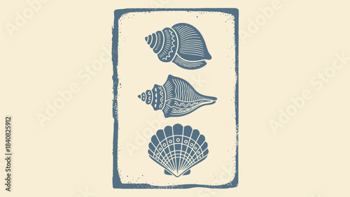 Vintage blue linocut illustration of three distinct seashells, including a conch, whelk, and scallop, arranged vertically within a rustic border on a light background.