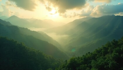 Rideaux Beige Misty mountain valley with rich green forest covering slopes. Sun shines through clouds at sunrise or sunset creating serene atmospheric landscape view.  © Viktor
