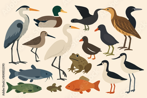 Wetland Animals Flat Vector Illustration