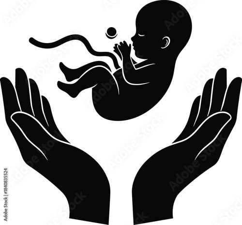 Newborn Fetus or Unborn Baby Silhouette Resting in Two Cupped Hands, Representing Pregnancy, Protection, Care, Maternity, and Human Life Preservation, Vector Illustration.