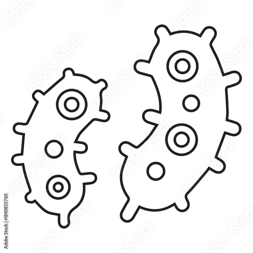 Cell Structure Illustration