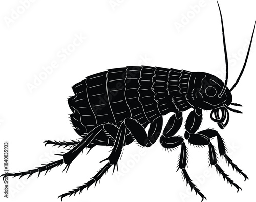 Reptile and Bird Silhouette Collection, Dinosaur, Lizard, Turtle, Parrot, and Bat Vector Set, Ancient, Exotic, and Wild Animal Graphics, Perfect for Education, T-Shirts, and Decals.