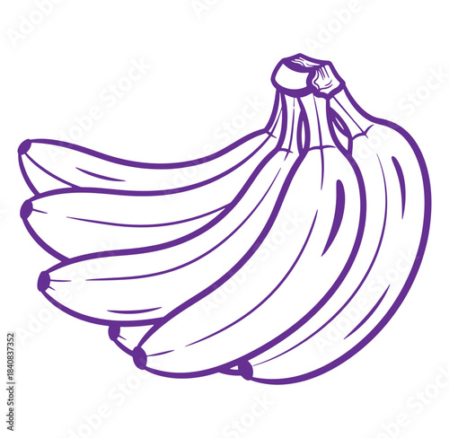Bunch of ripe bananas in purple outline on a white background for food illustration
