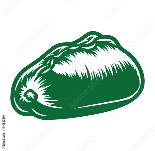 Fresh green chayote squash isolated against a white background in vector illustration