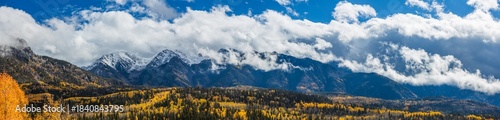 aspen tree panorama with distant mountains and clouds