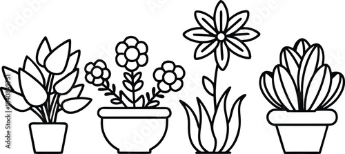 Black and white line potted plants and flowers line black and white