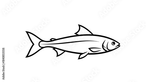 Simple black and white fish illustration in minimalist style