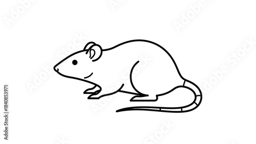 Simple Black and White Line Drawing of a Mouse