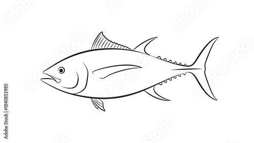 Vector illustration of a tuna fish in black and white outline