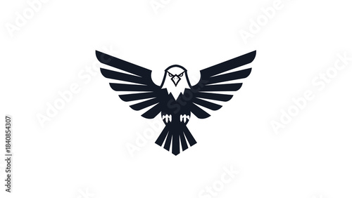 Minimalist black and white eagle logo with spread wings