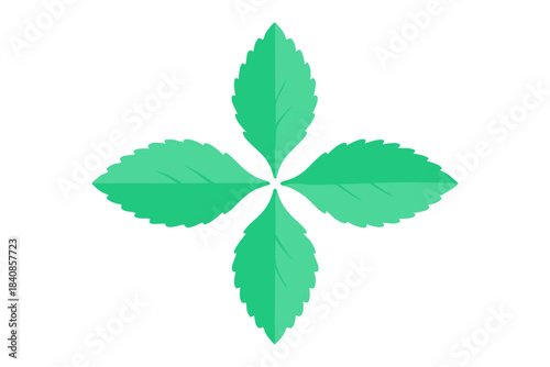 Fresh mint leaves arranged in a symmetrical cross pattern, isolated on white, natural botanical design, herbal greenery, high-resolution minimal composition, plant detail