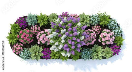 Top view of a vibrant, colorful flower bed arrangement with mixed blooming plants isolated on white background