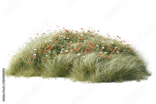 Grassy mound with wildflowers isolated on black backdrop