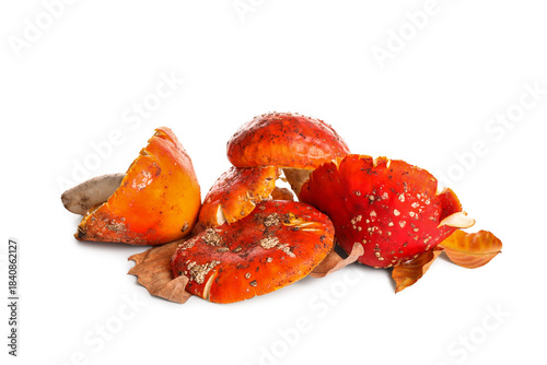 Fly agaric mushrooms isolat...