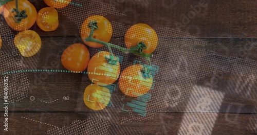 Teal overlay appearing and sweeping across tomato cluster, scanning and highlighting data