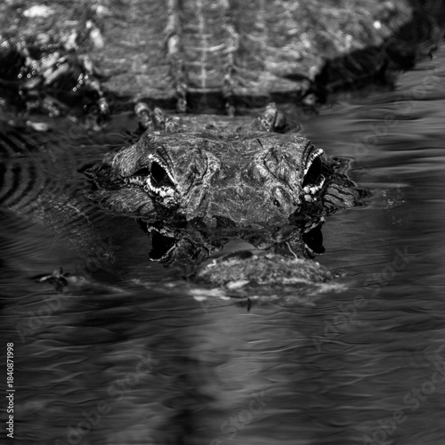 Ripples and Eyes In Black and White