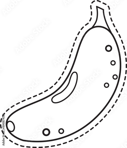 A simple black and white illustration of a paramecium single celled organism