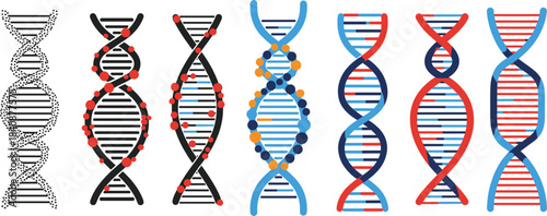 dna strand on white background