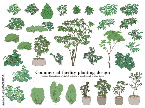 Commercial facility planting design | Vector illustrations of stylish exteriors, shrubs, and symbol trees