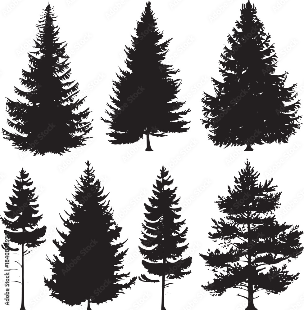 Obraz premium Set of Pine trees in silhouettes