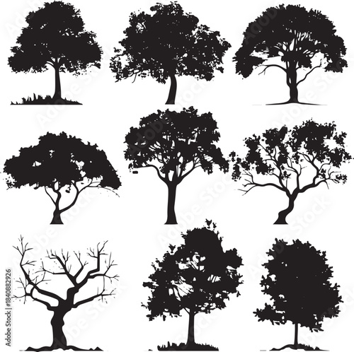 Set of trees in silhouettes