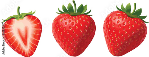 Realistic strawberry vector set featuring whole ripe berries and sliced fruit with detailed seeds, texture, and vibrant colors