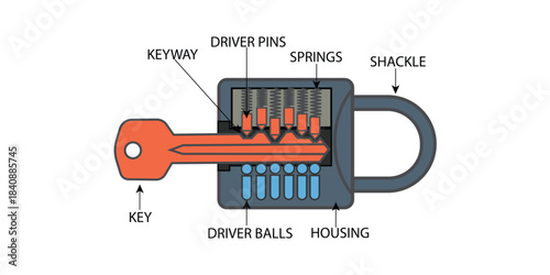 A clean cutaway diagram of a padlock showing the key, keyway, driver pins, springs, driver balls, housing, and shackle, illustrating how a pin-tumbler lock functions for security and educational use.