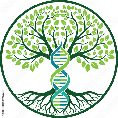 Tree of life with DNA helix symbol representing genetics, ancestry, biology, family roots, evolution and natural growth concept
