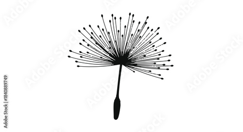 Single delicate dandelion seed head floats suspended in the air as a fine botanical graphic.