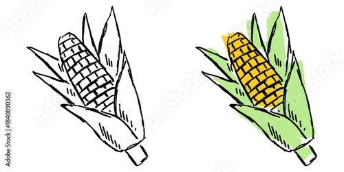 Grunge sketch handdrawn corn maize vector for rustic food packaging and raw harvest art. Symbolizes natural grain, raw texture, and rough, spontaneous design.