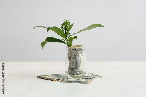 Glass jar with dollar bankn...