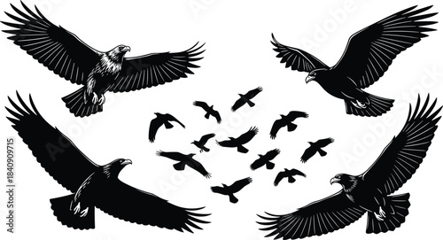 Majestic flying eagle and bird silhouette vector illustration set featuring soaring raptors, dynamic wingspread poses, wildlife freedom symbols for nature themed graphic design projects