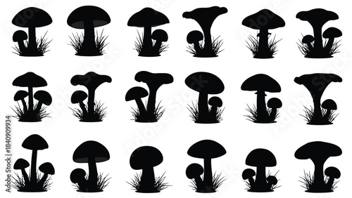 Collection of detailed black silhouettes of various mushrooms growing in a patch of grass